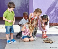 Kinder und Schildkröte von Angesicht zu Angesicht (Quelle: Fotalia)